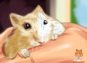 Kiểm-tra-mắt-và-mũi-của-hamster