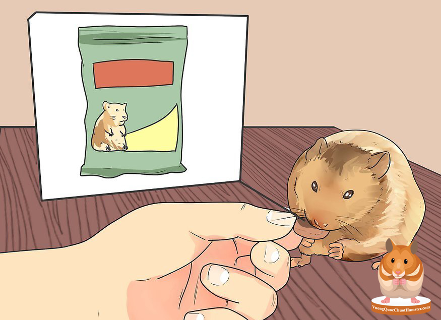 Thức ăn của Chuột Hamster