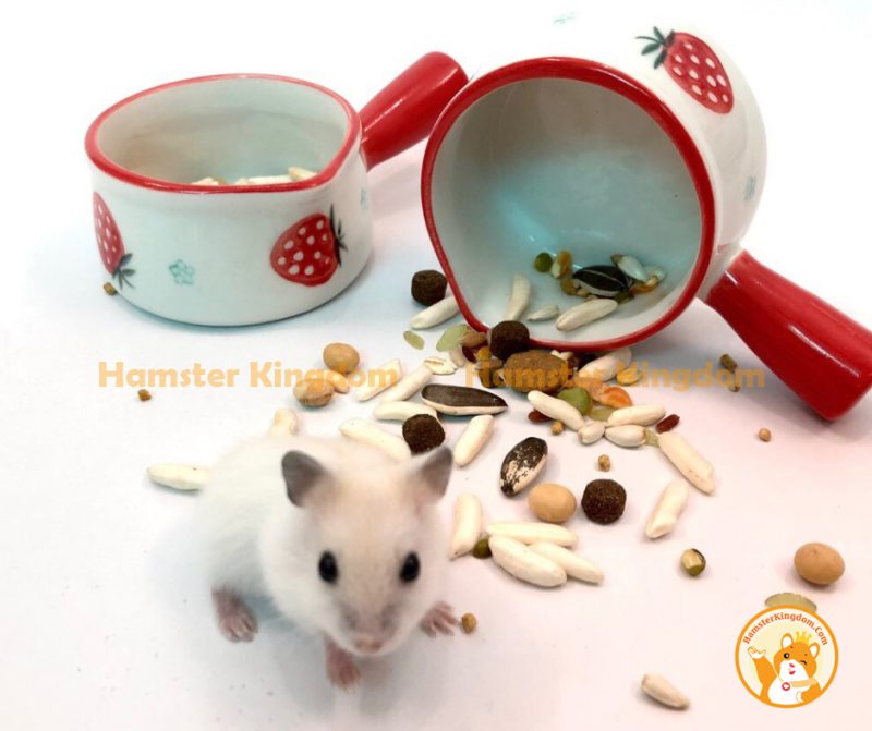 Chảo mini sứ - Chén ăn cho Hamster