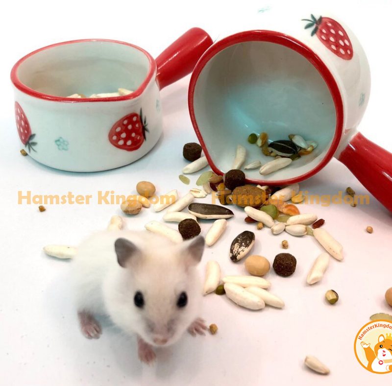 Chảo mini sứ - Chén ăn cho Hamster