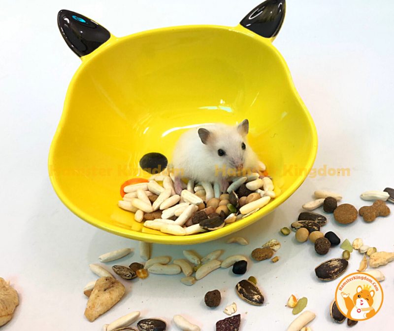 Chén ăn Pikachu lớn - Chén ăn cho Hamster