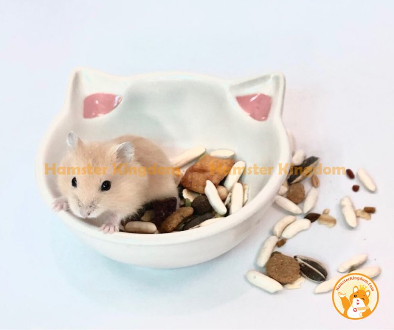 Chén sứ mèo trắng nhỏ - Chén ăn cho Hamster