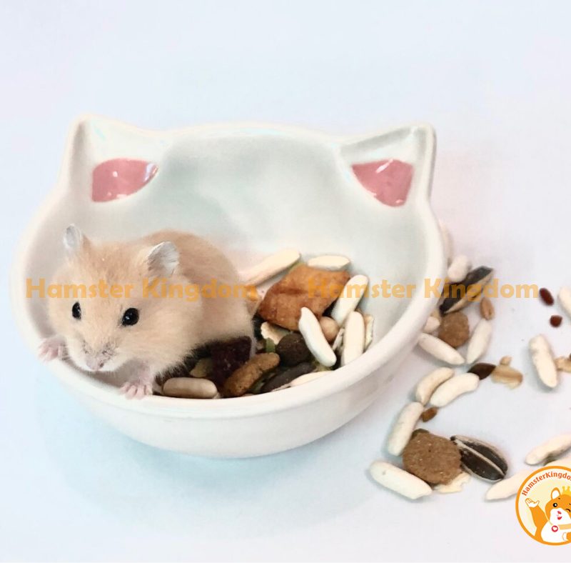 Chén sứ mèo trắng nhỏ - Chén ăn cho Hamster