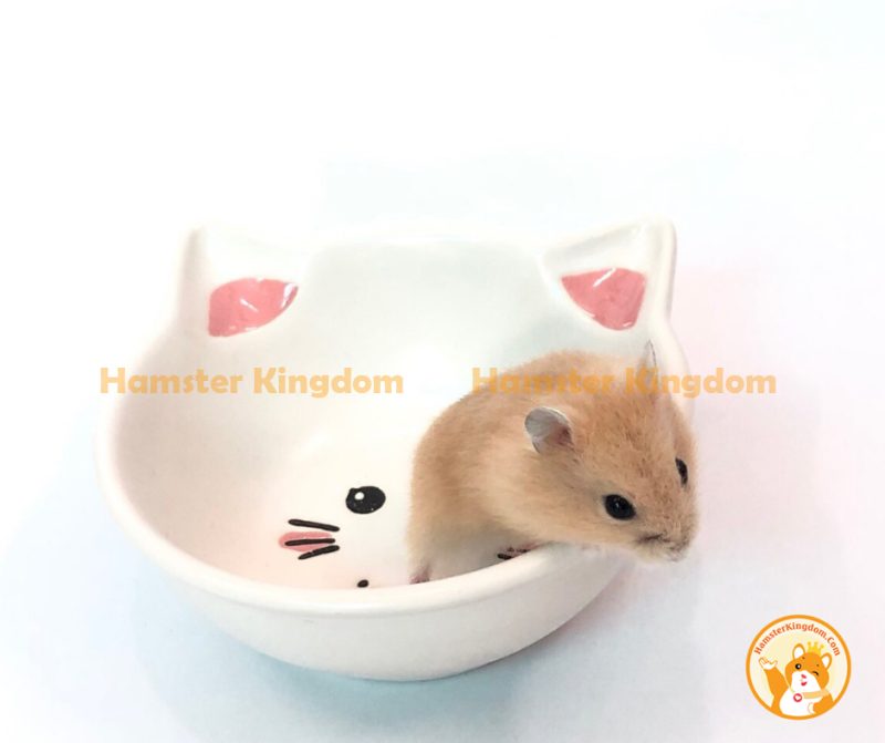 Chén sứ mèo trắng nhỏ - Chén ăn cho Hamster