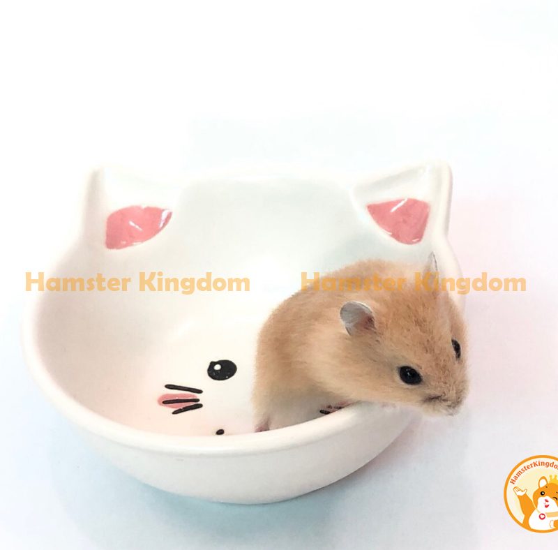 Chén sứ mèo trắng nhỏ - Chén ăn cho Hamster