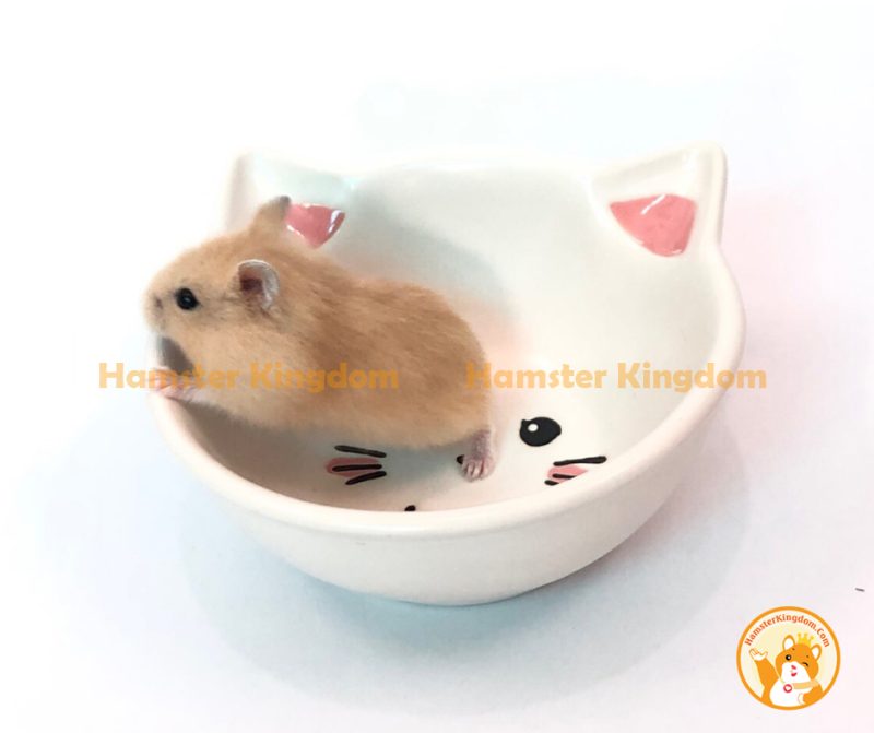 Chén sứ mèo trắng nhỏ - Chén ăn cho Hamster