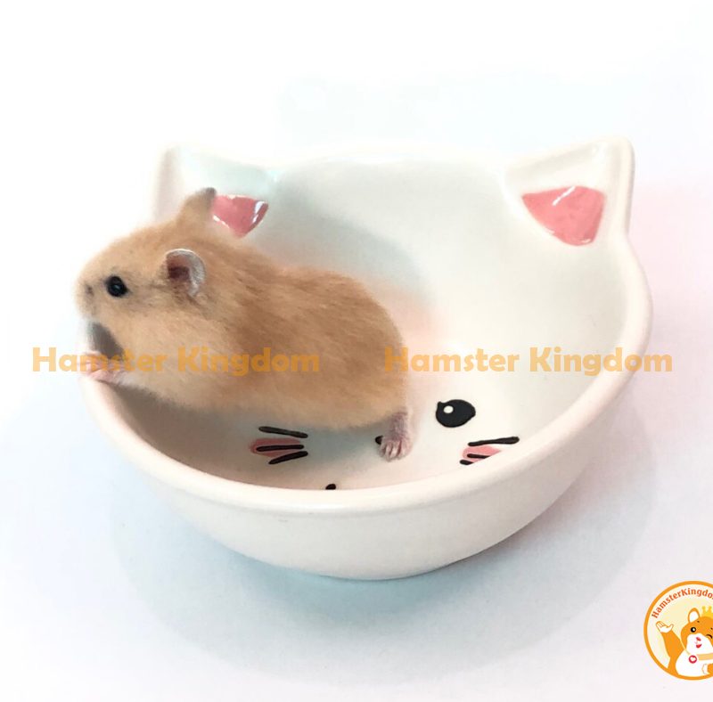 Chén sứ mèo trắng nhỏ - Chén ăn cho Hamster