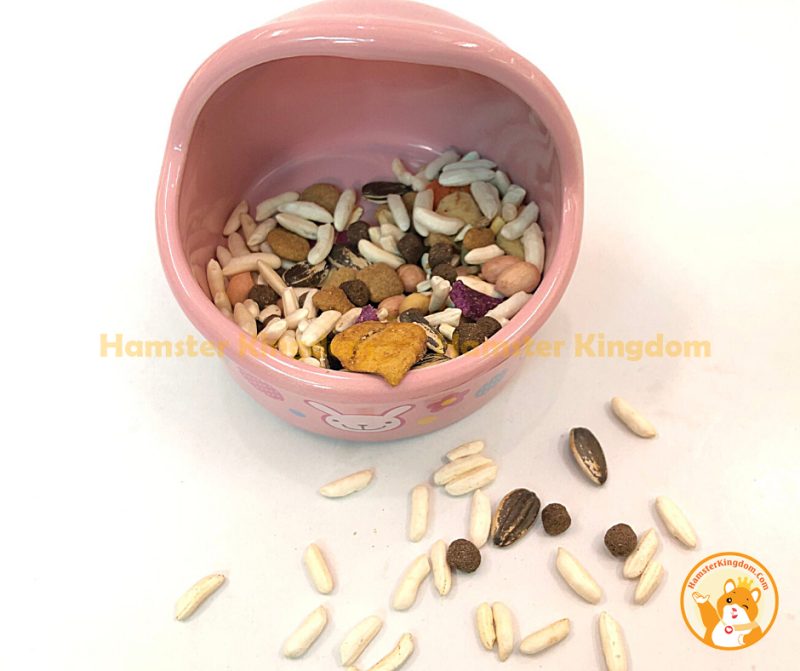 Chén feed me lớn sứ - Chén ăn cho Hamster