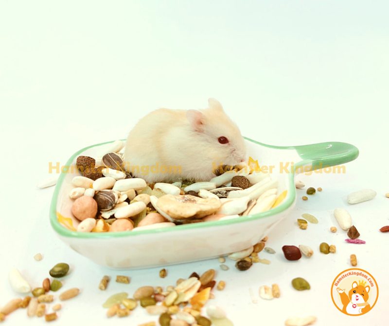 Chảo sứ vuông - Chén ăn cho Hamster