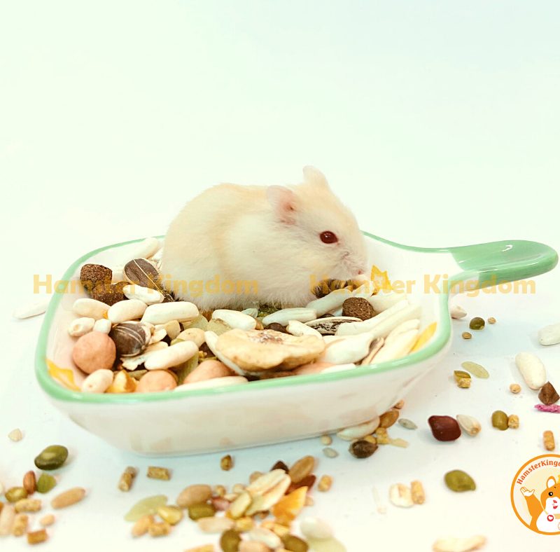 Chảo sứ vuông - Chén ăn cho Hamster