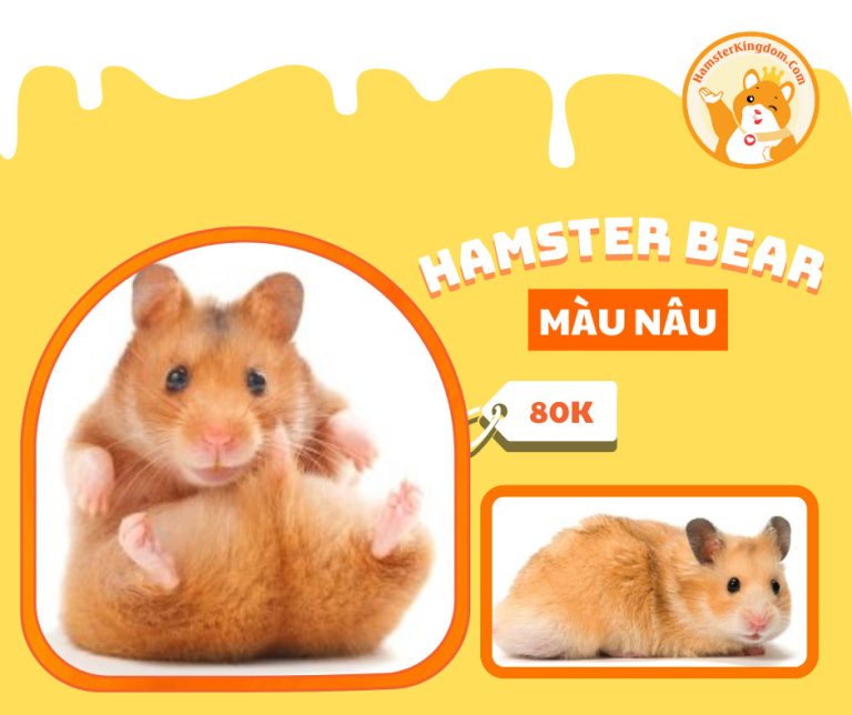 Hamster Bear màu nâu