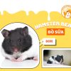 Hamster Bear Bò Sữa