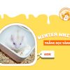 Hamster Winter White Trắng Sọc Vàng