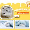 Hamster Winter White Trắng Sọc Đen