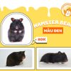 Hamster Bear màu đen