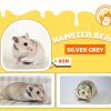 Hamster Bear Silver Grey