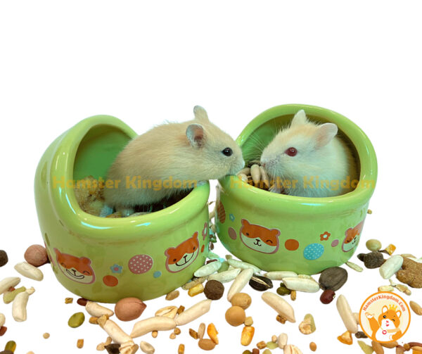 Chén feed me nhỏ sứ - Chén ăn cho Hamster - Hình ảnh 7