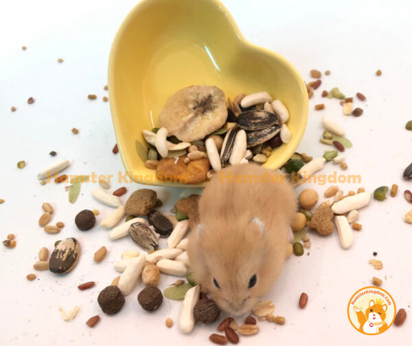 Chén ăn trái tim nhỏ - Chén ăn cho Hamster - Hình ảnh 3