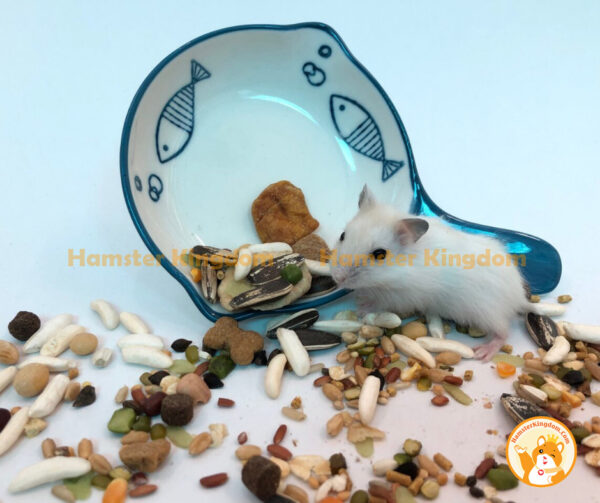 Chảo sứ tròn hoạ tiết - Chén ăn Hamster