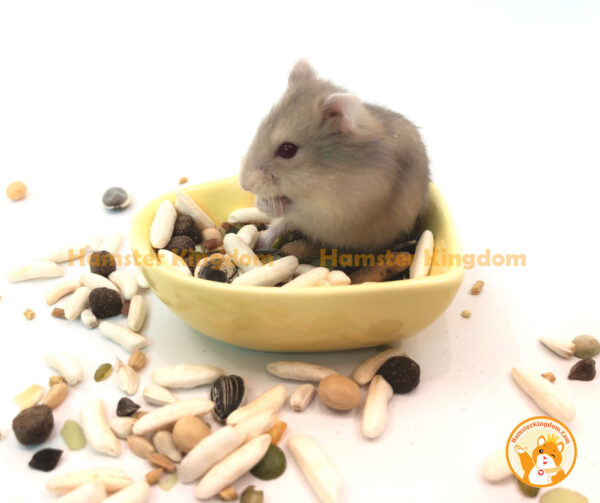 Chén ăn trái tim nhỏ - Chén ăn cho Hamster - Hình ảnh 6