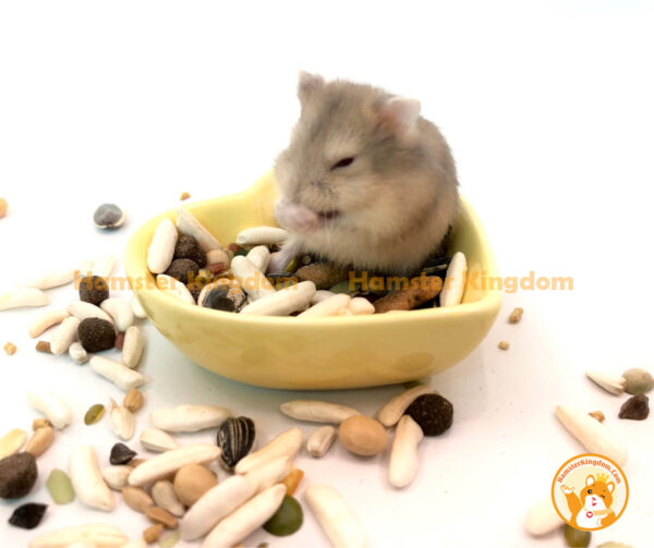 Chén ăn trái tim nhỏ - Chén ăn cho Hamster