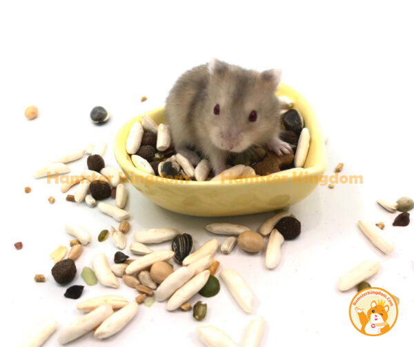 Chén ăn trái tim nhỏ - Chén ăn cho Hamster - Hình ảnh 8