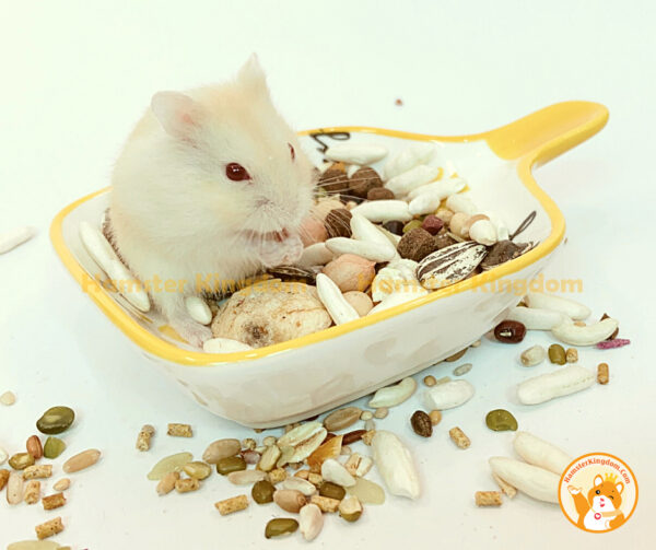 Chảo sứ vuông - Chén ăn cho Hamster - Hình ảnh 8