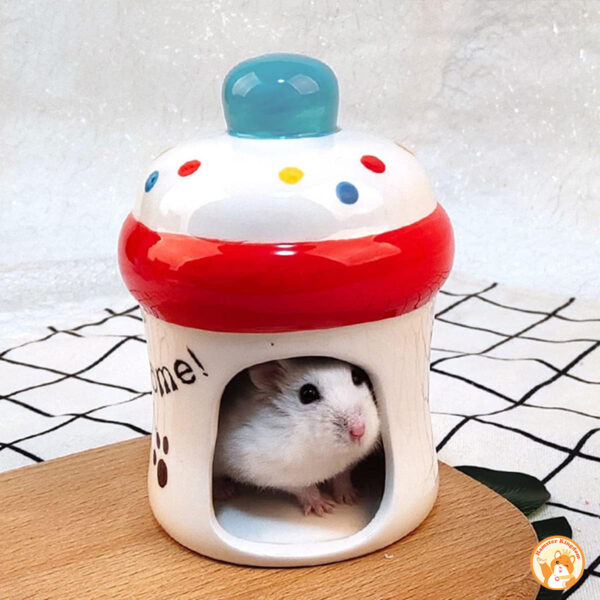 Nhà ngủ Bình sứ sữa cho chuột hamster