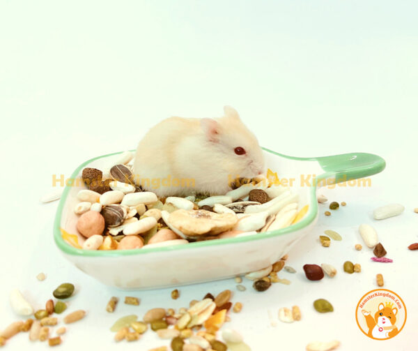 Chảo sứ vuông - Chén ăn cho Hamster - Hình ảnh 5