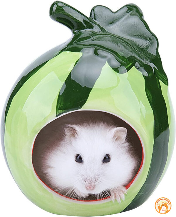 Nhà ngủ Dưa hấu sứ cho chuột hamster