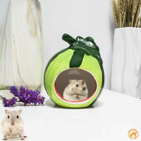 Nhà ngủ Dưa hấu sứ cho chuột hamster - Hình ảnh 2