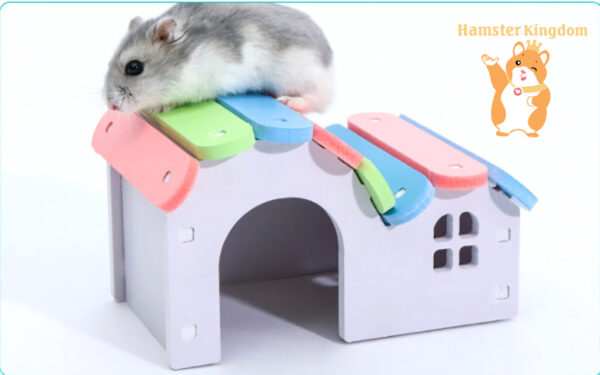 Nhà gỗ cầu vòng cho Hamster - Hình ảnh 2