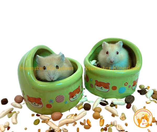 Chén feed me nhỏ sứ - Chén ăn cho Hamster - Hình ảnh 4