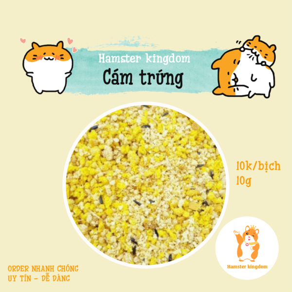 Cám trứng cho Hamster