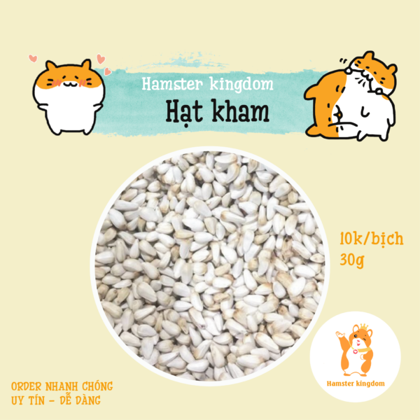 Hạt kham cho Hamster