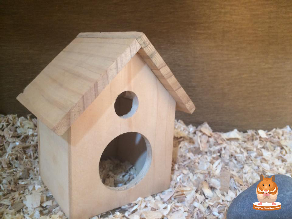 Hamster Kingdom