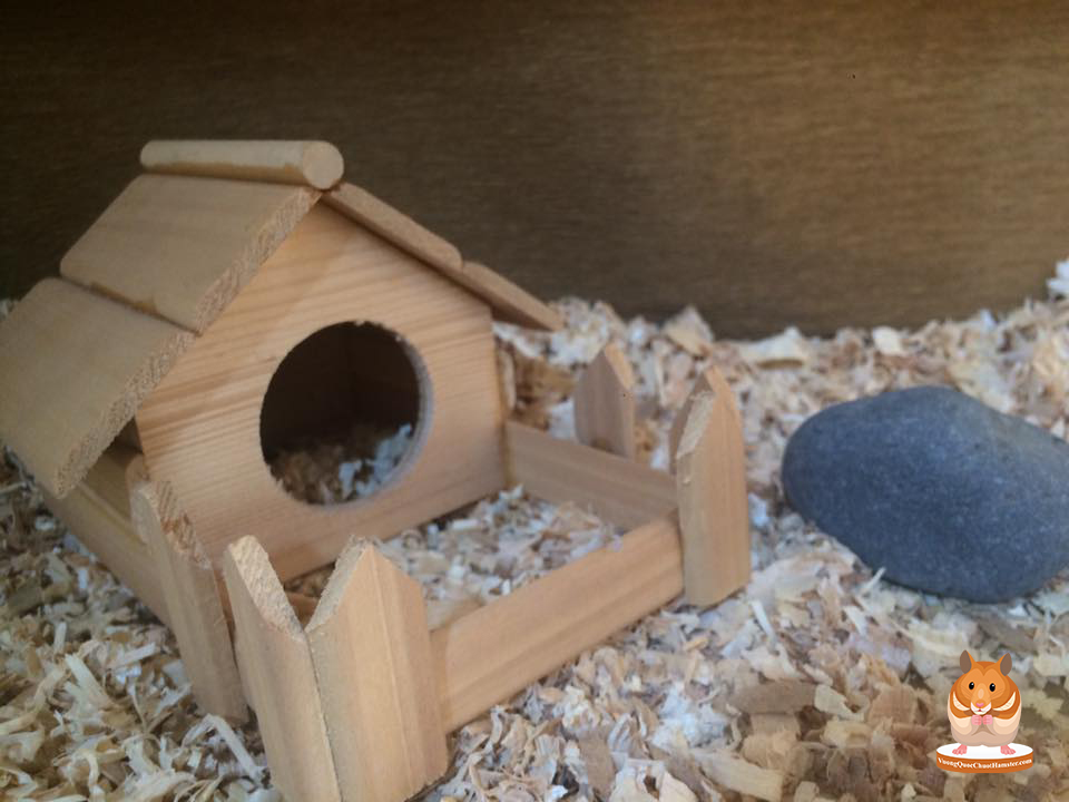 Hamster Kingdom