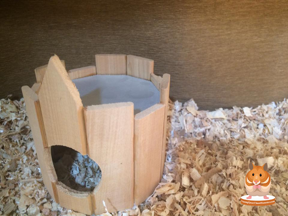 Hamster Kingdom