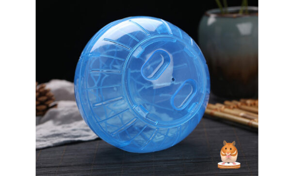 Banh Chạy Của Chú Chuột Hamster - Size Nhỏ