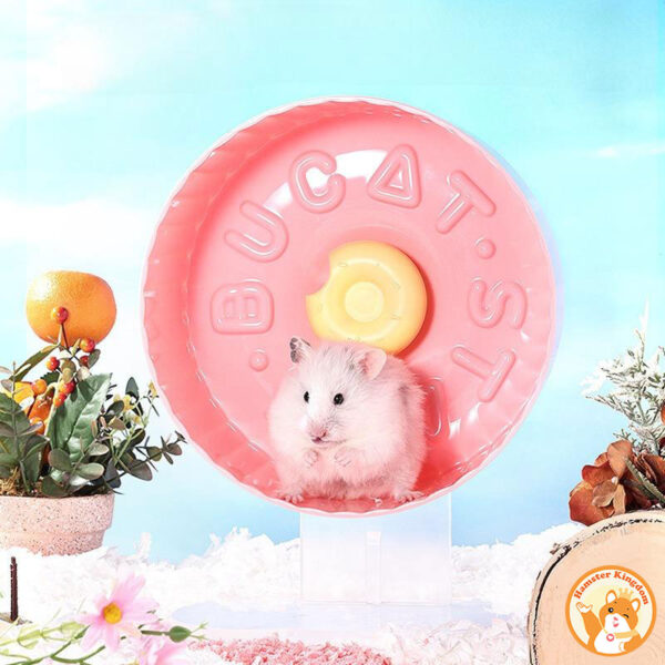 Wheel Bucatsate Donut cho chuột hamster - Hình ảnh 9