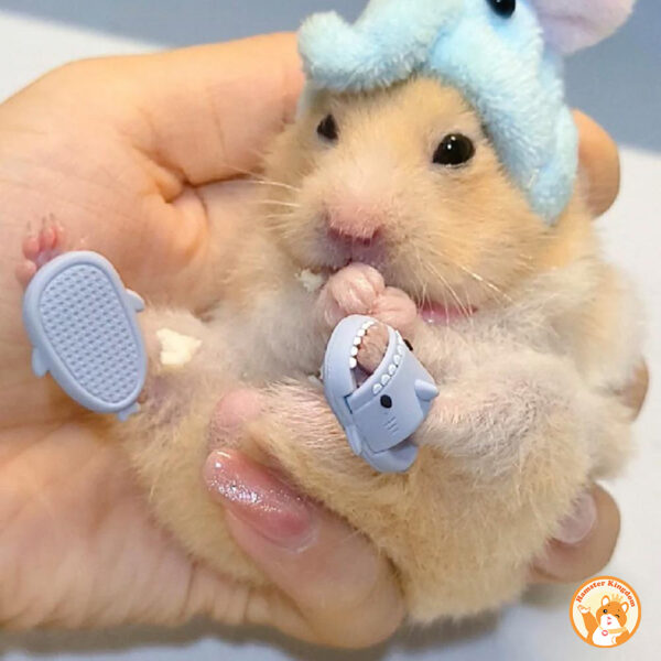 Dép bông đi trong nhà Hình Cá Mập cho chuột Hamster