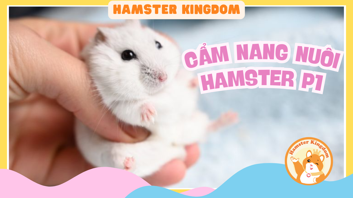 CẨM NANG NUÔI CHUỘT HAMSTER P1