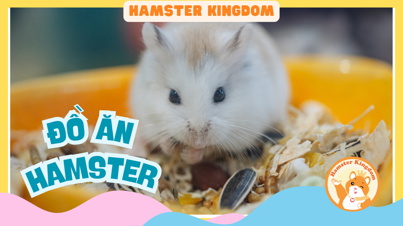 ĐỒ ĂN HAMSTER
