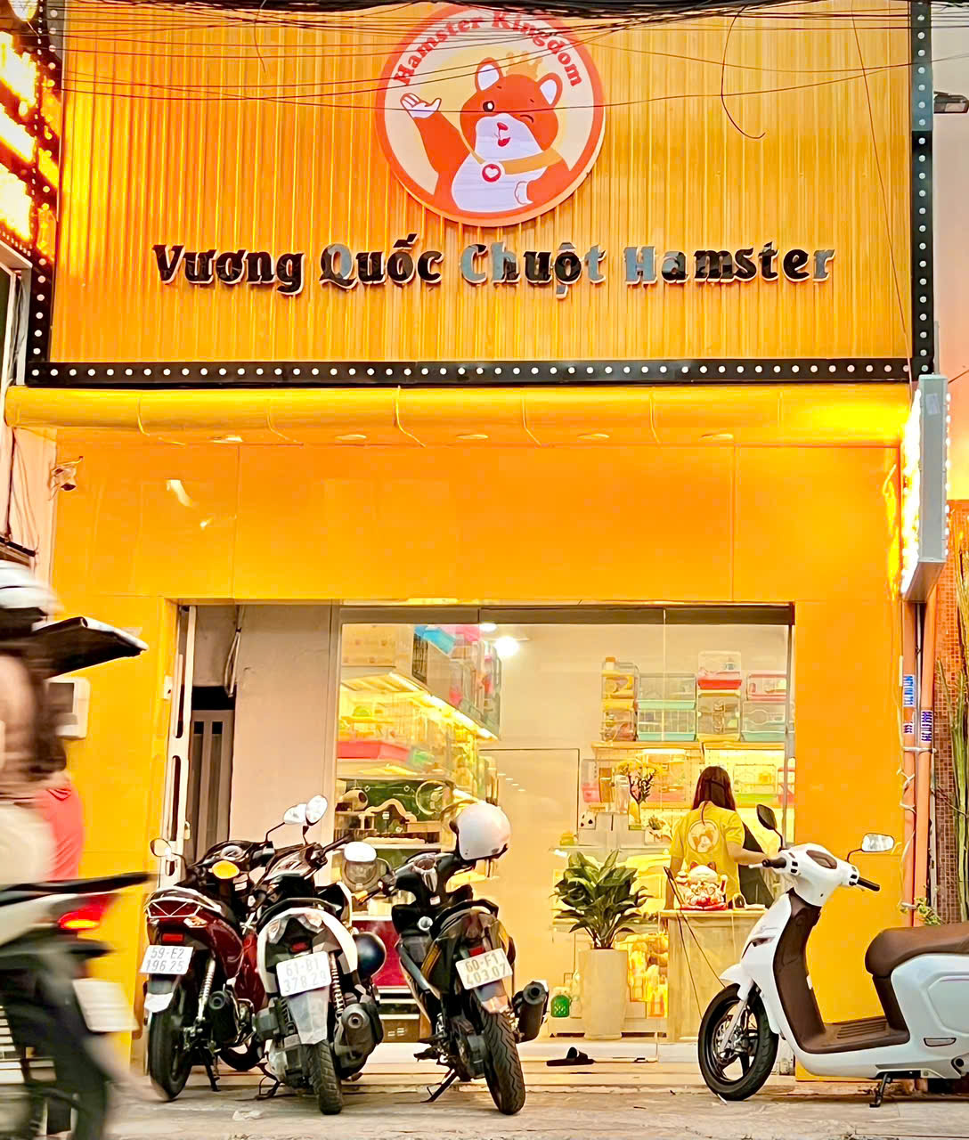Hamster Kingdom Phú Nhuận
