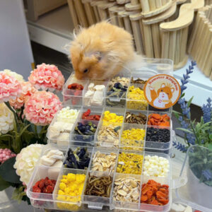 Set 10 vị Buffet Bầu Bí Hamster Kingdom