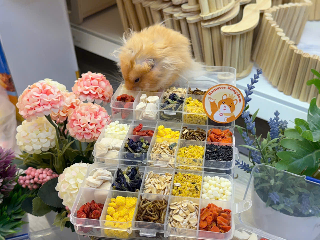 Set 10 vị Buffet Bầu Bí Hamster Kingdom