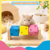 ĐỒ CHƠI XÍ NGẦU CHO HAMSTER - HAMSTER KINGDOM