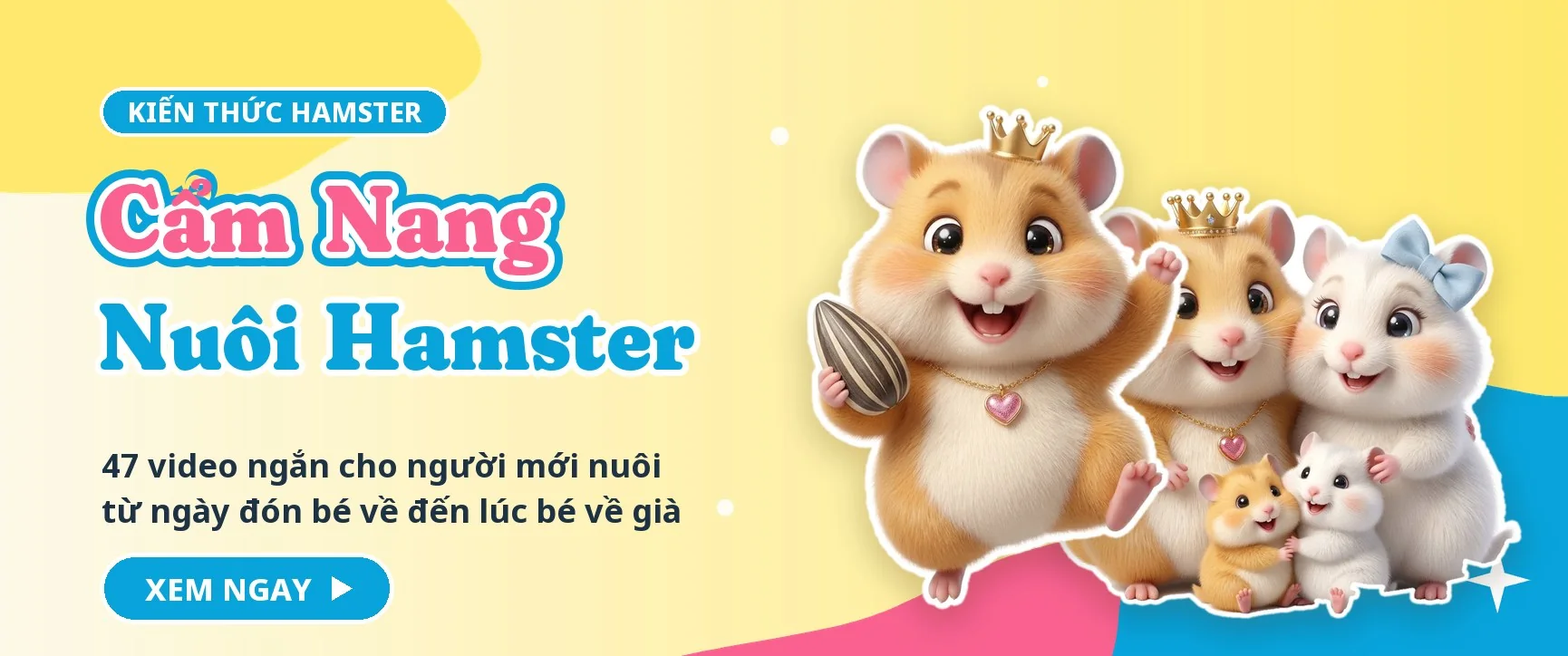 Trang chủ