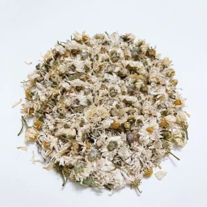 Hoa lài cho Hamster
