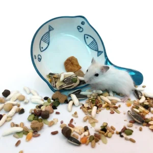 Chảo sứ tròn hoạ tiết - Chén ăn Hamster